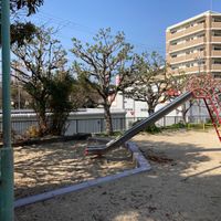 あんず公園 - 投稿画像1