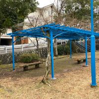 帝塚山中町第1号街区公園 - 投稿画像3