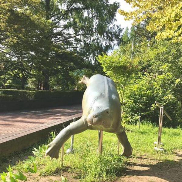 埼玉県立自然の博物館 - おすすめ画像