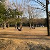 清澄公園 - トップ画像