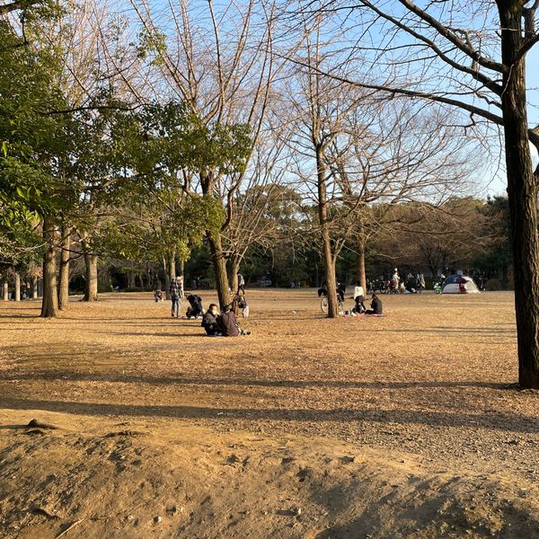 清澄公園 - トップ画像