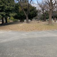 反町公園 - 投稿画像1