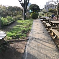 瀬田農業公園 フラワーランド - 投稿画像1