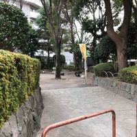北本通り沿いの広場 - 投稿画像1