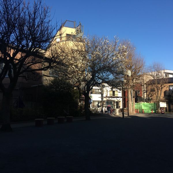 南長崎花咲公園 - トップ画像