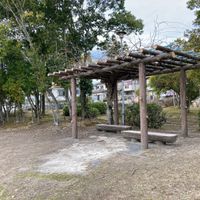 丸山第2号街区公園 - 投稿画像3