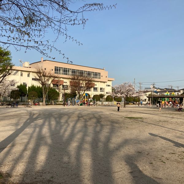 柳崎公園 - トップ画像
