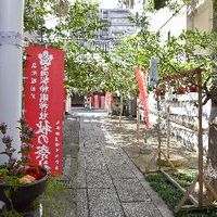 高松神明神社（タカマツシンメイジンジャ） - 投稿画像2