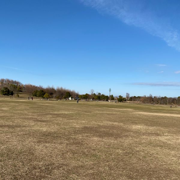 まつぶし緑の丘公園 芝生広場 - トップ画像