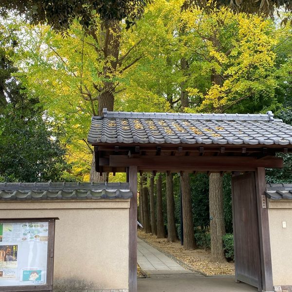 大田黒公園 - おすすめ画像