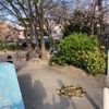 桜塚公園 - トップ画像