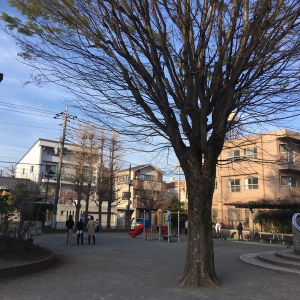 中村南公園 - おすすめ画像