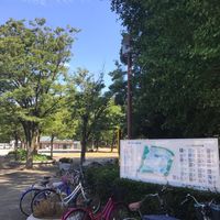 茅ヶ崎市 中央公園(第一カッターきいろ公園) - 投稿画像1