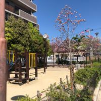門戸岡田はなみずき公園 - 投稿画像1