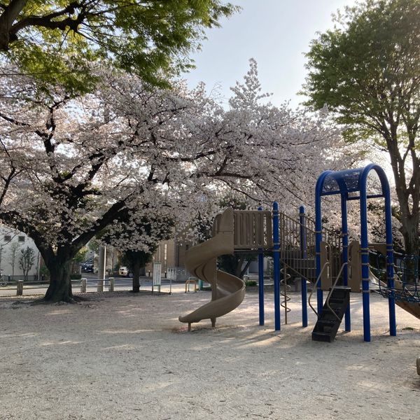 柳崎第5公園 - トップ画像