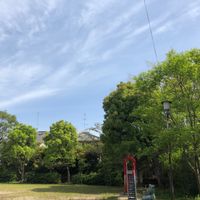 泉が丘南公園 - 投稿画像2