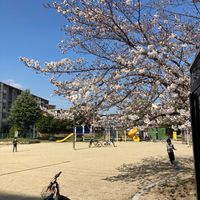 下原公園 - 投稿画像0