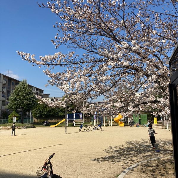 下原公園 - おすすめ画像