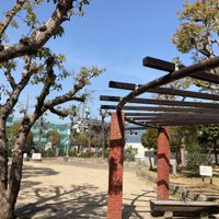 いずみ南公園 - 投稿画像3