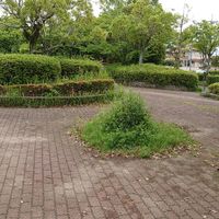 登美ヶ丘近隣公園 - 投稿画像1