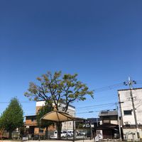 竹尻 - 投稿画像1