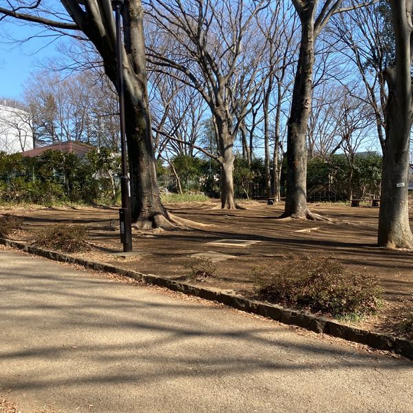 石神井公園 おべんと広場 - トップ画像