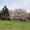 佐倉城址公園 - トップ画像