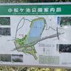 小松ヶ池公園 - トップ画像