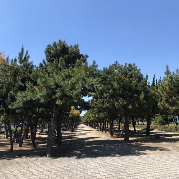 高砂公園 - トップ画像