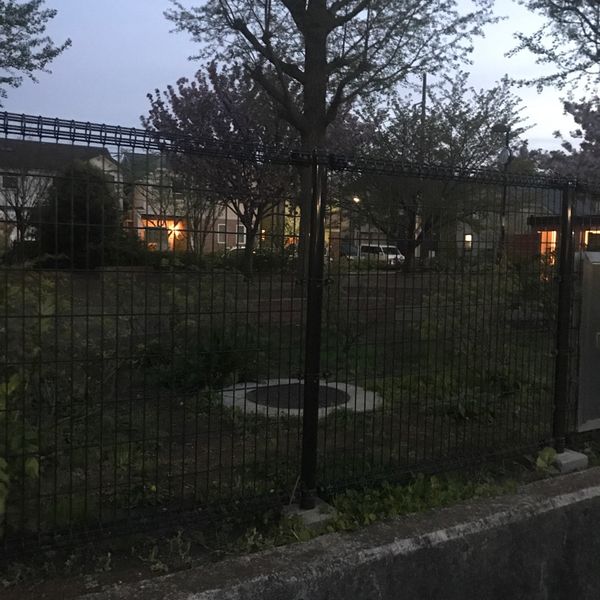 西大泉さくら緑地 - トップ画像