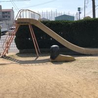 東港ライオン公園 - 投稿画像0