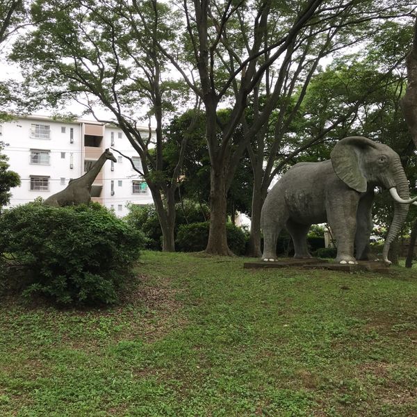 村上緑地公園 - トップ画像