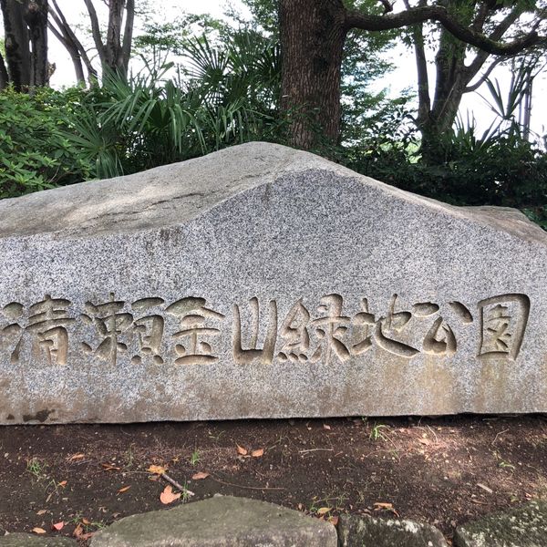 清瀬金山緑地公園 - トップ画像