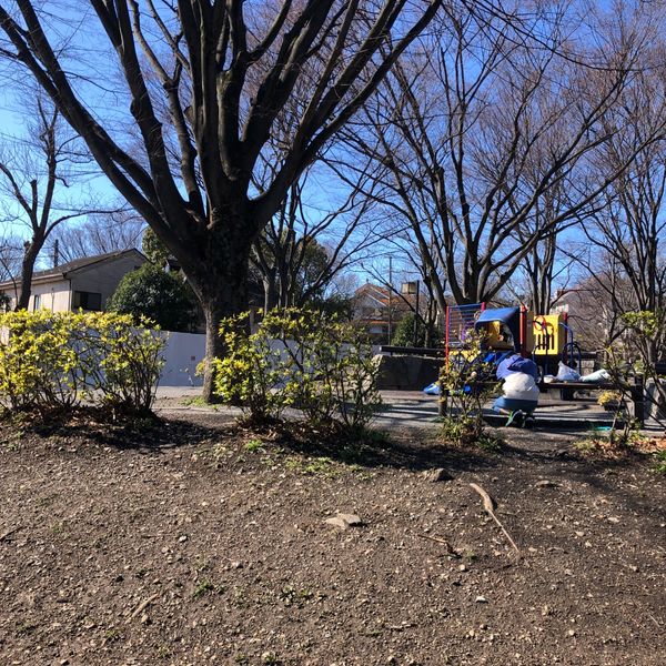 祖師谷公園　子ども遊び場 - おすすめ画像