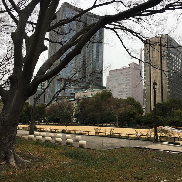 日比谷公園 にれのき広場 - トップ画像