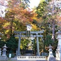 志波彦神社・鹽竈神社 - 投稿画像2