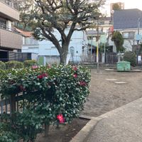 岸町二丁目児童遊園 - 投稿画像0