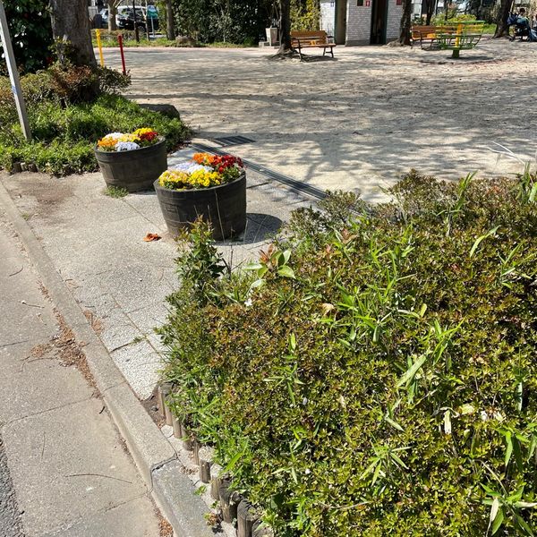 西瑞江みのり公園 - トップ画像
