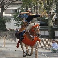 流鏑馬神事 - 投稿画像0