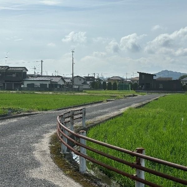 【四村２】道幅が狭いカーブ - トップ画像