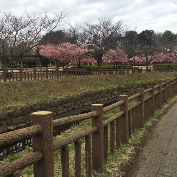 井沼方公園 - おすすめ画像