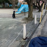 谷田公園 - 投稿画像1