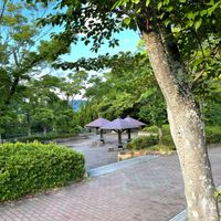 平和台公園 - 投稿画像2