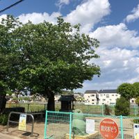 あかね公園 - 投稿画像2