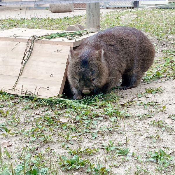 五月山動物園 - トップ画像