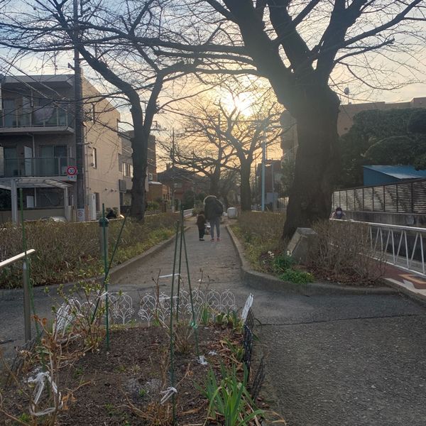 呑川本流緑道 - トップ画像