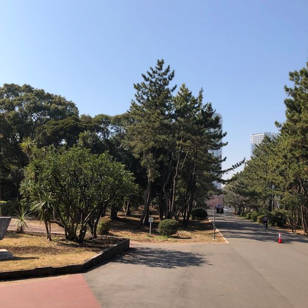 辰巳公園 - トップ画像