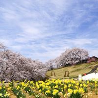 太陽の村レストラン - 投稿画像2