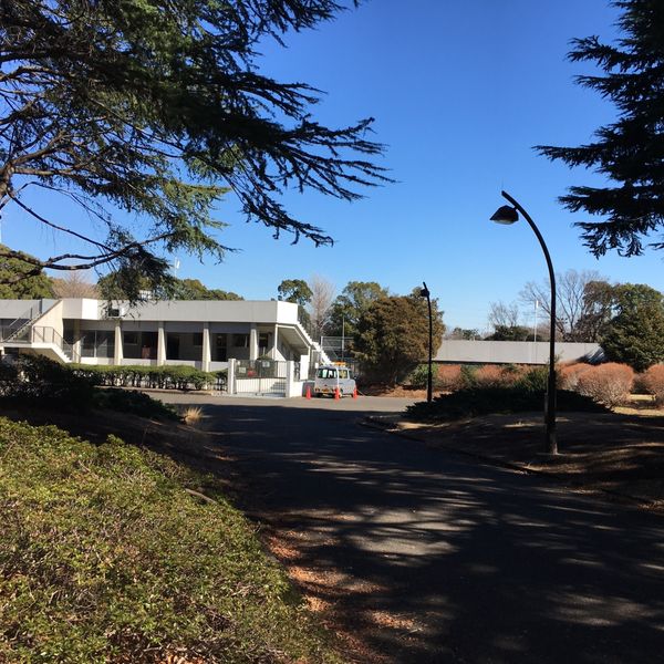 駒沢オリンピック公園 第二球技場 - トップ画像