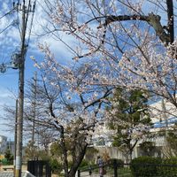 真上北公園 - 投稿画像2